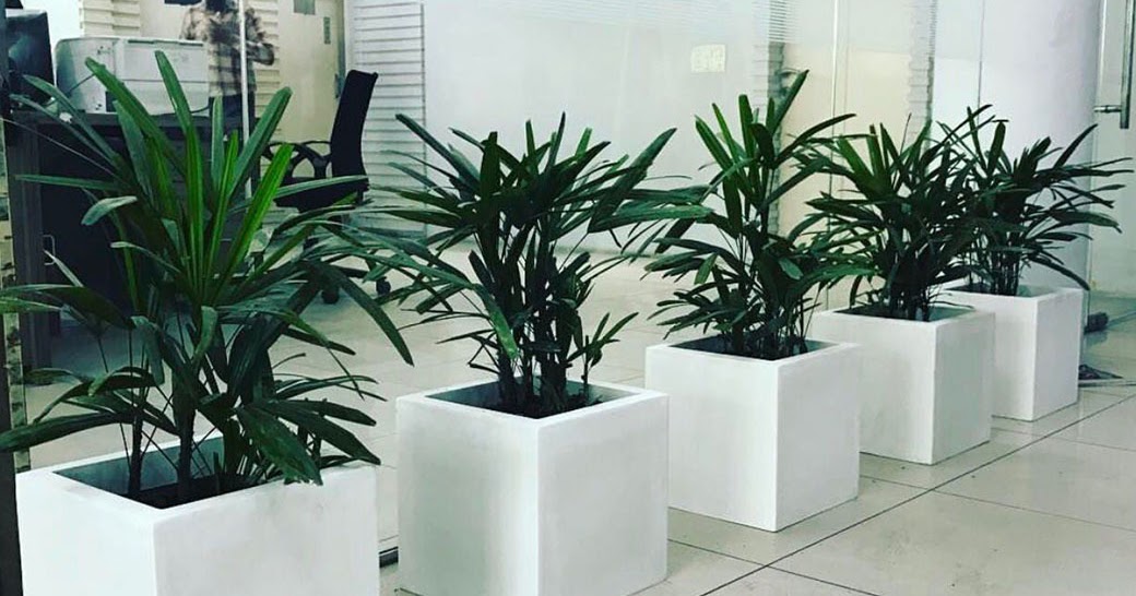 Fiber Pots Manufacturer in Delhi NCR for the decoration of plants