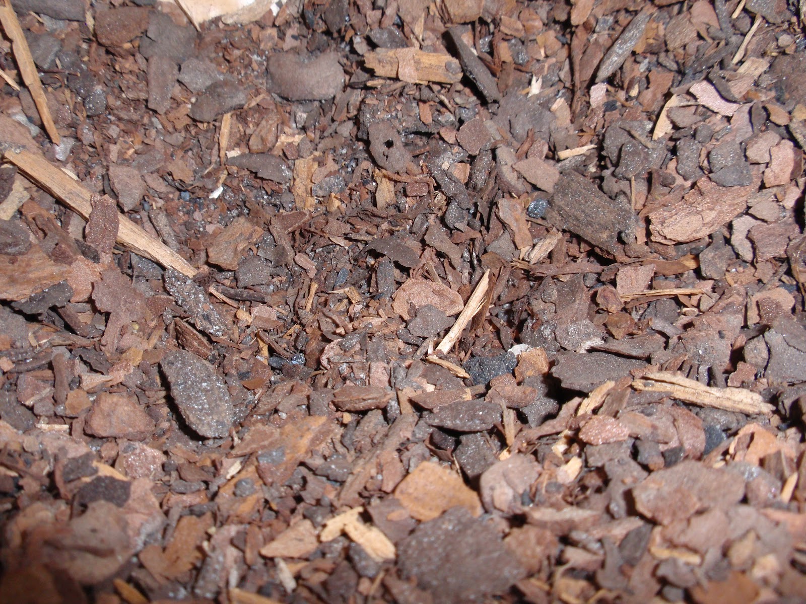 a gardening life Demystifying Soil Amendments Continued