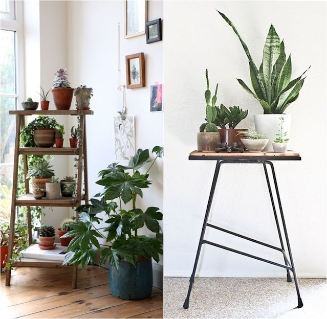 Inspirações de decorações com plantas em ambientes internos que trazem beneficios para a saúde física e mental