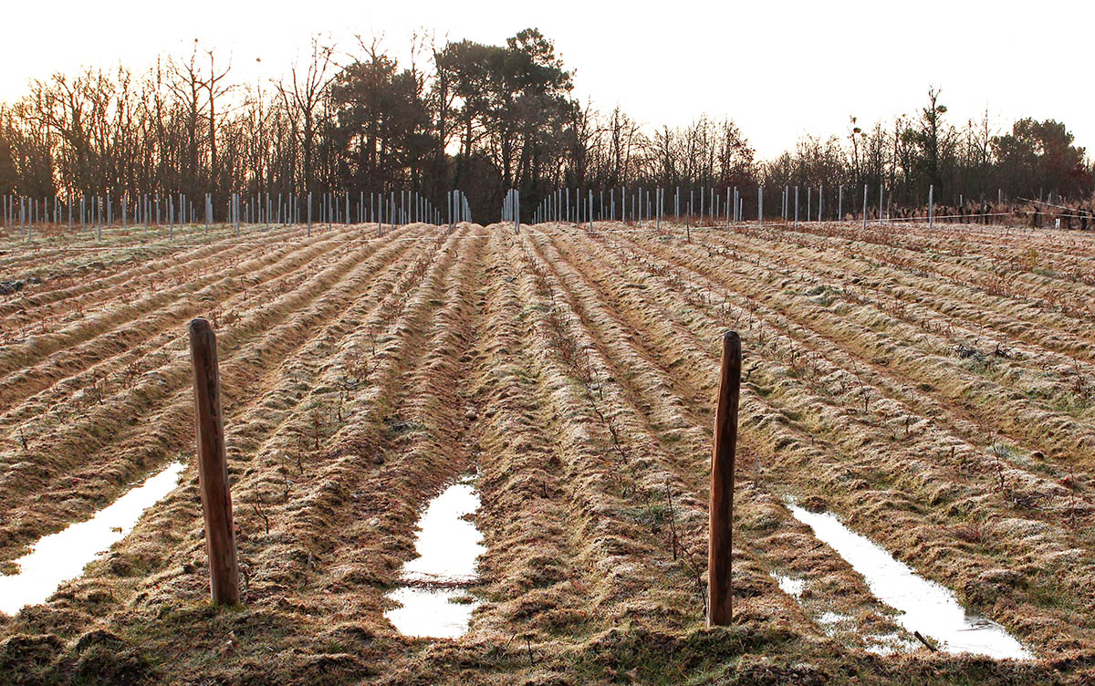 wcs Plow your own furrow