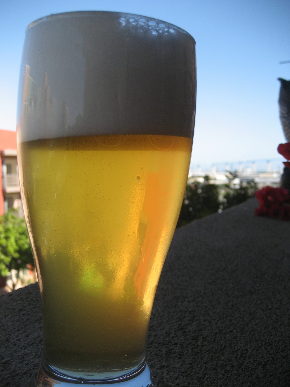 Bikes, Beer, and Adventures Homebrew Tasting San Diego Session Saison