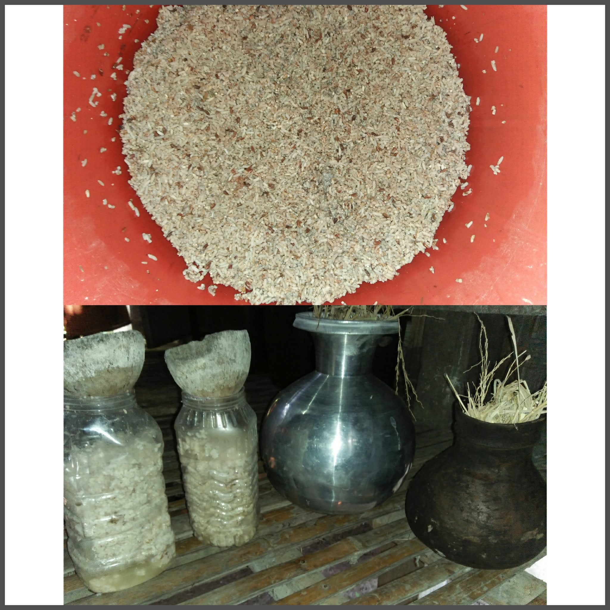 Rice Beer How Can You Make Rice Beer at Home Using Traditional Method.