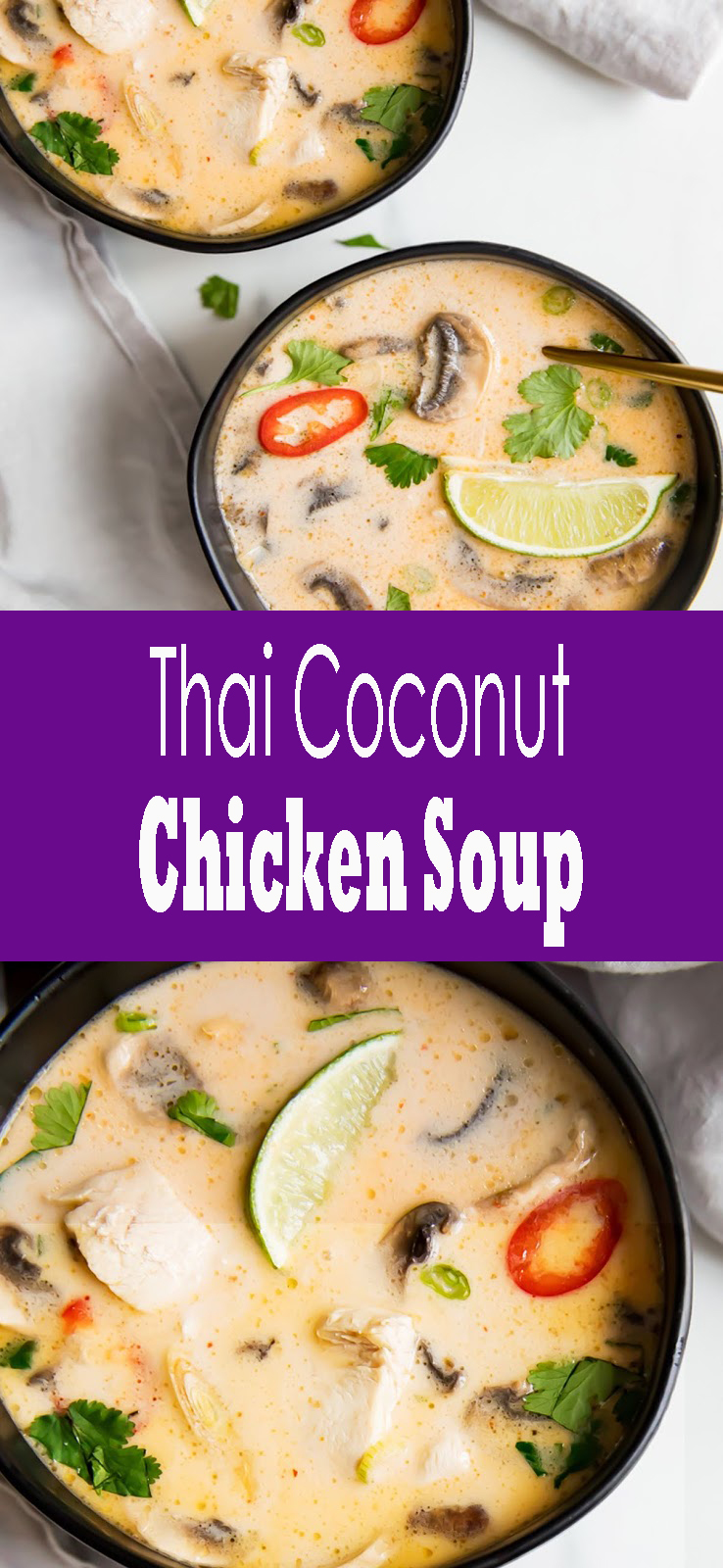 Thai Coconut Chicken Soup - pinsgreatrecipes11