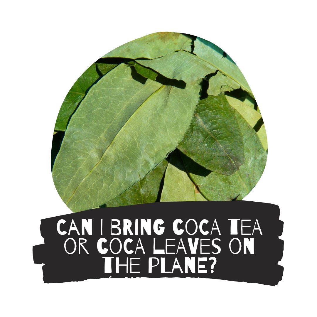 Can I bring coca tea or coca leaves on the plane? Non Stop Family