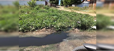 Comunidade da Rua Frei Manoel do Jatobá sofrem com esgoto à céu aberto
