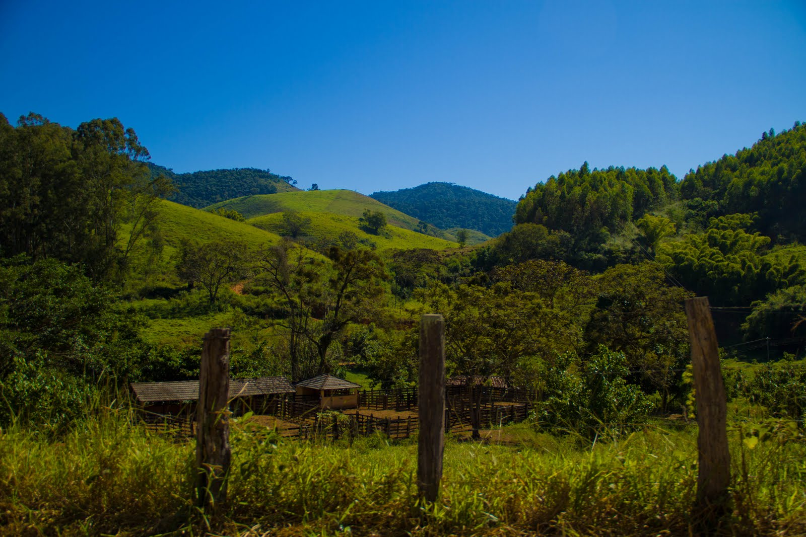 theatro de um homem só