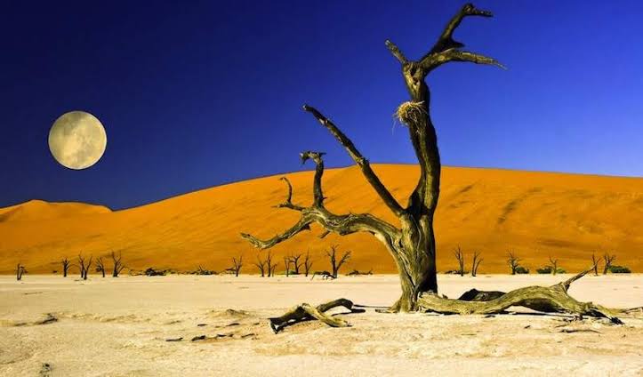 Negara apa saja yang Ada di Benua Afrika? Belajar Sampai