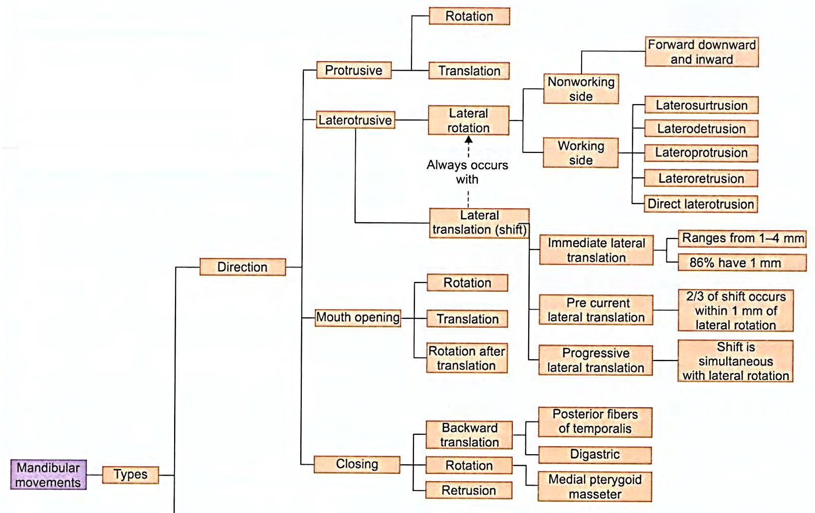 Mandibular movements l removable prosthodontics MCQs WikiDentia