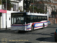 transportes online