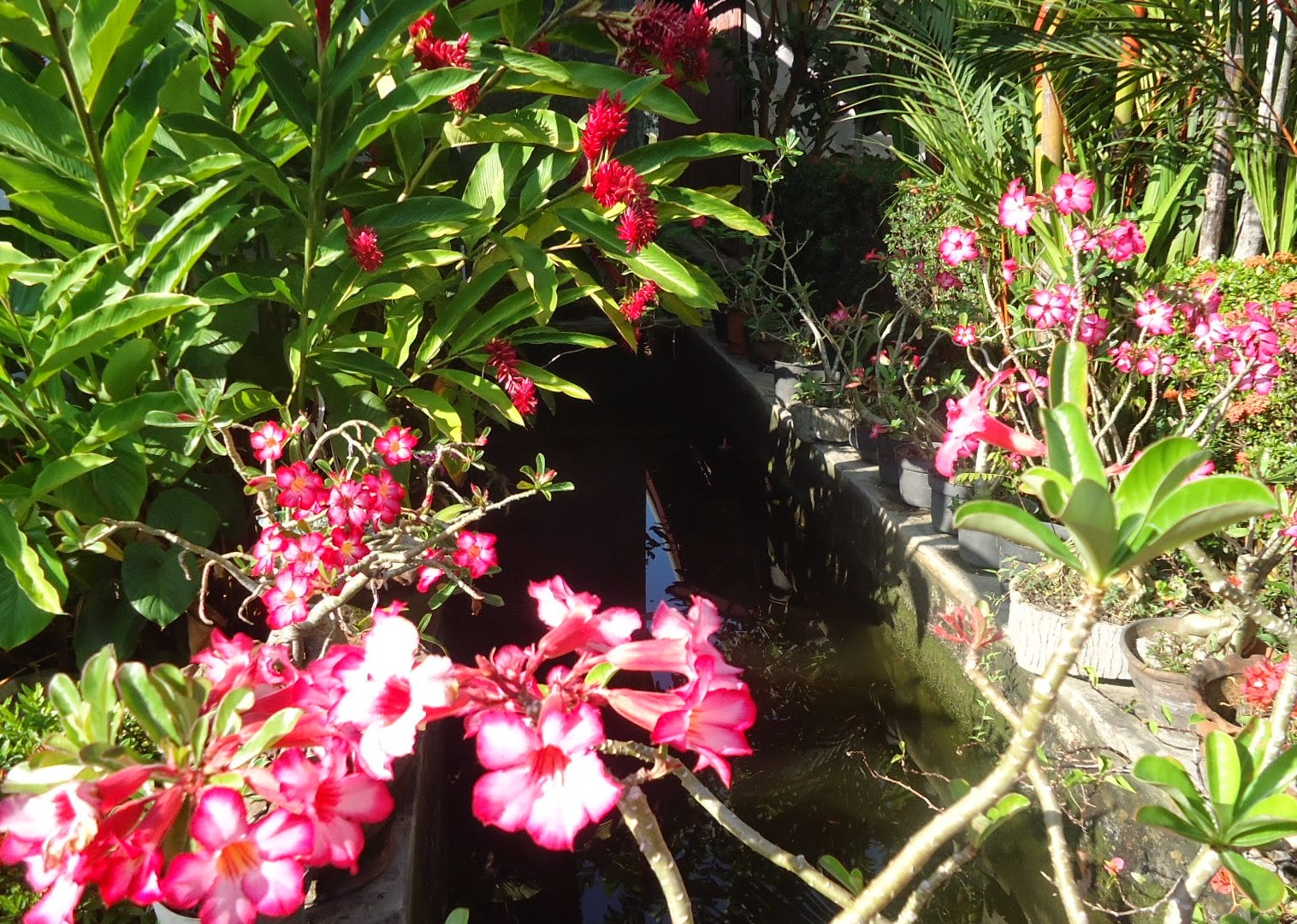 Oktober 2014 Cerita Ulat Sutra