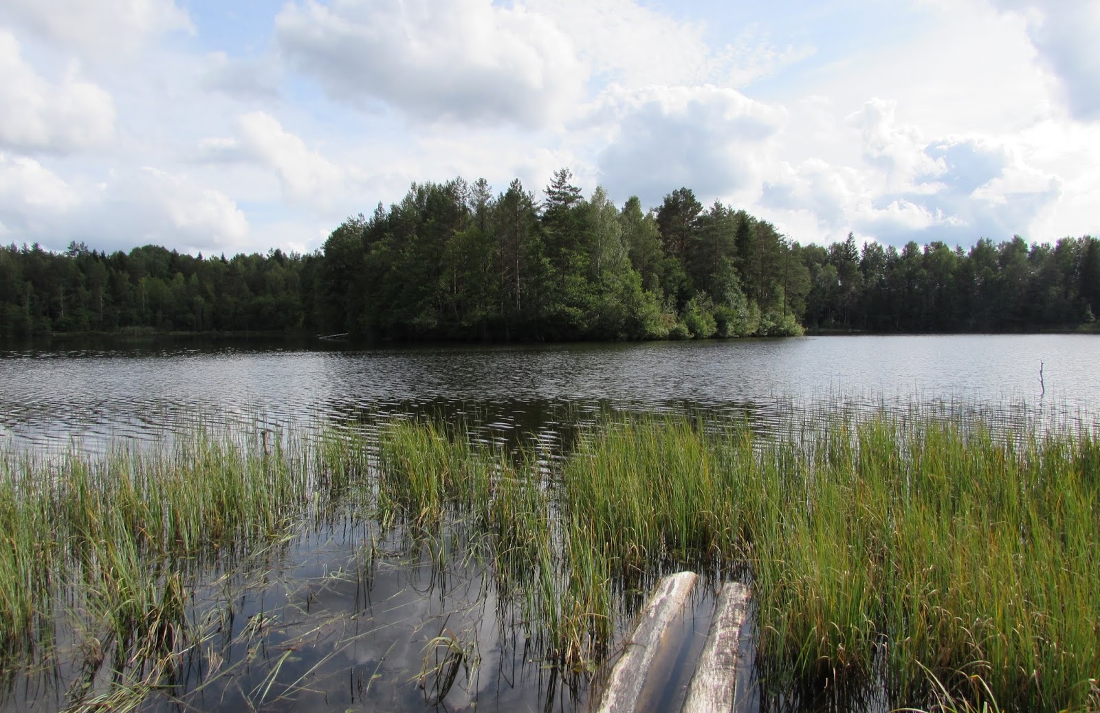 Озеро смолинское палкинский район