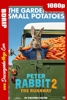 Peter Rabbit 2 Conejo en Fuga (2021) BDRip 1080p Latino
