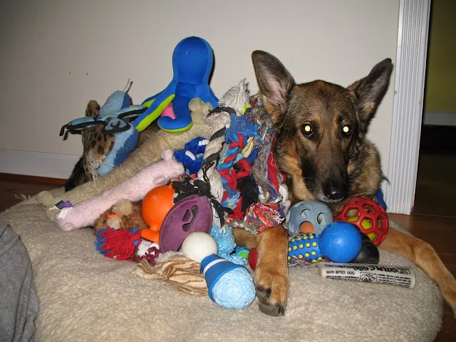 Hailey covered in toys