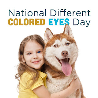 National Different Colored Eyes Day HD Pictures, Wallpapers