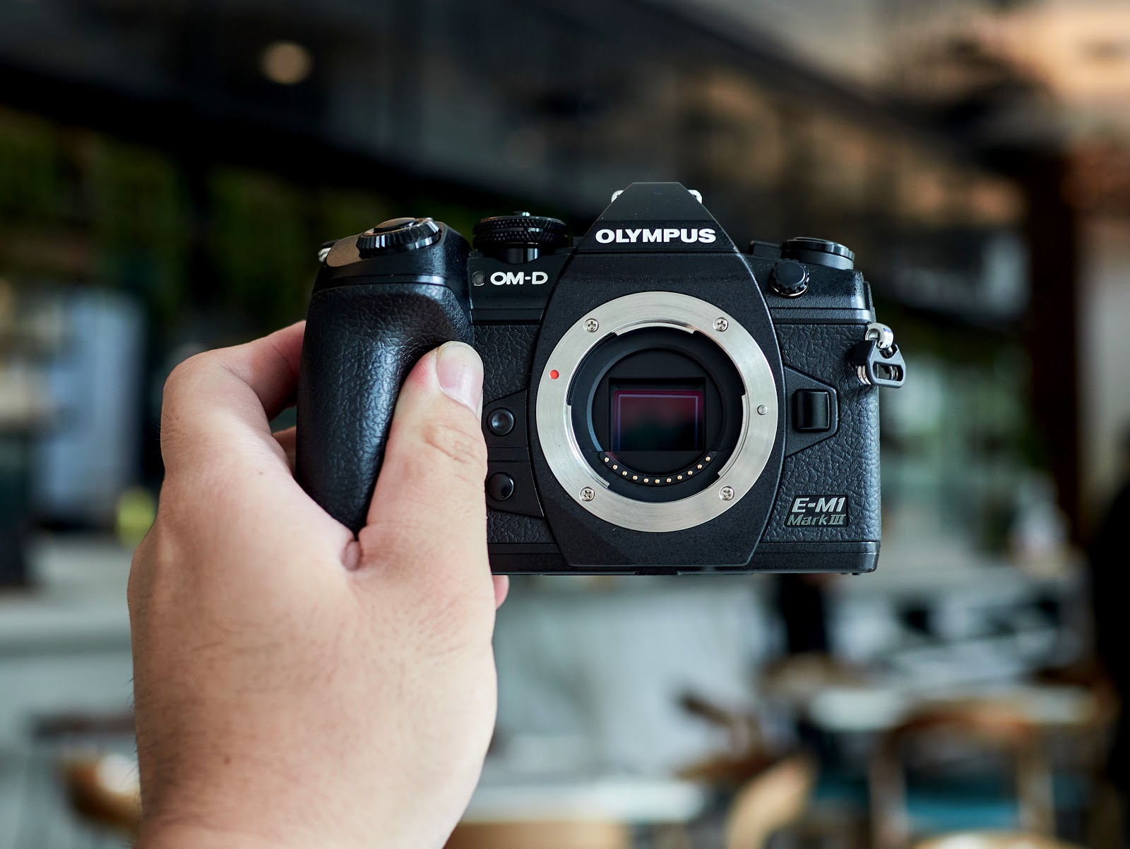 Increíble Restringido Productivo ROBIN WONG : Olympus OM-D E-M1 Mark III Review