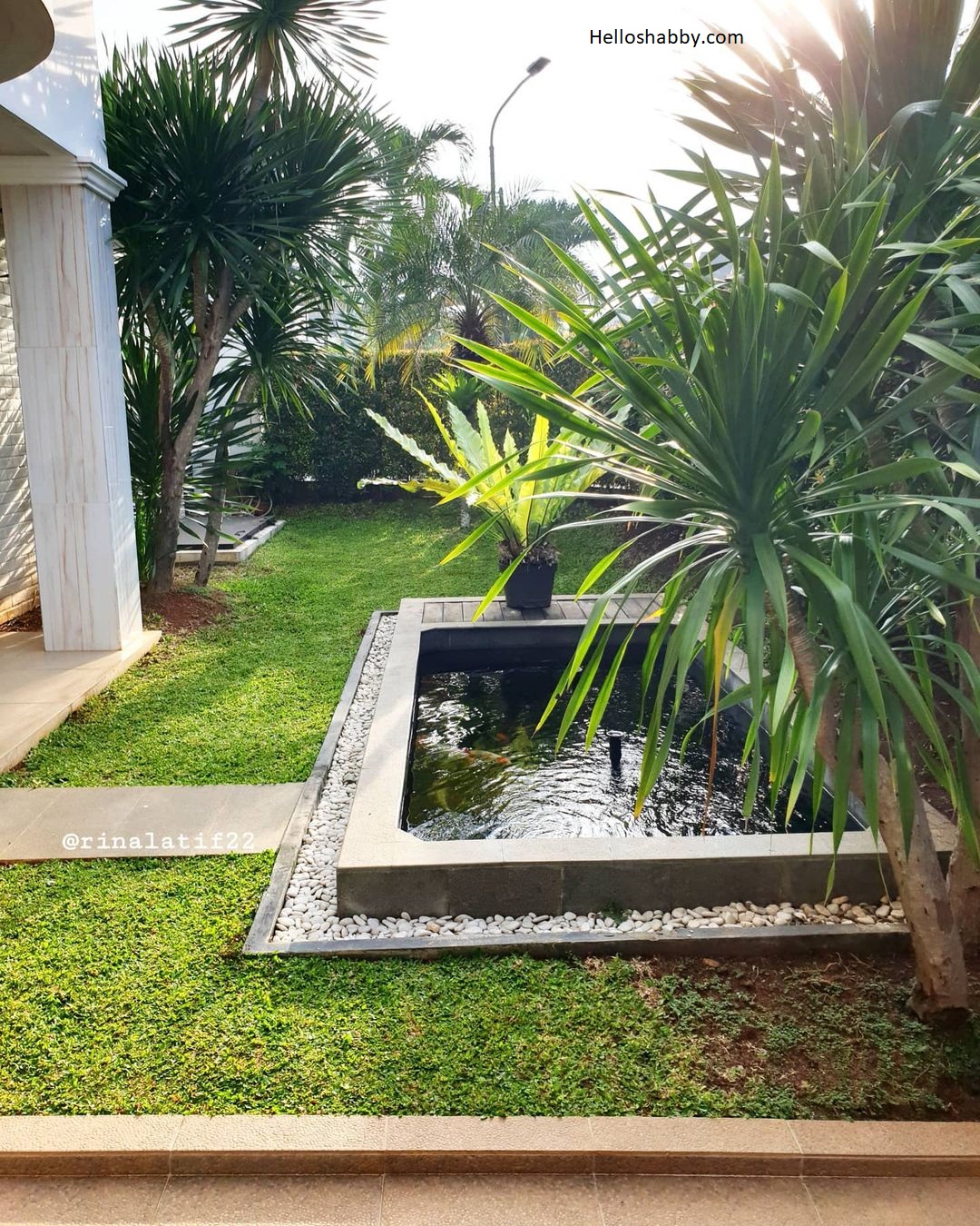 7 Inspirasi Desain Kolam Ikan Minimalis Di Halaman Rumah ~ HelloShabby
