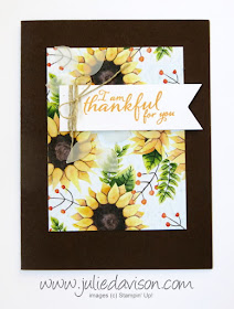 Stampin' Up! Painted Harvest Autumn Thank You Cards ~ 2017 Holiday Catalog ~ Vellum Leaves ~ www.juliedavison.com