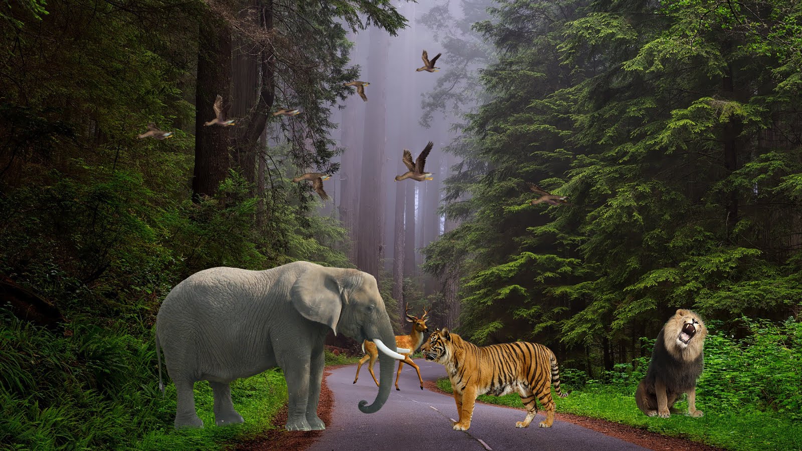 Satuan Makhluk Hidup dalam Ekosistem