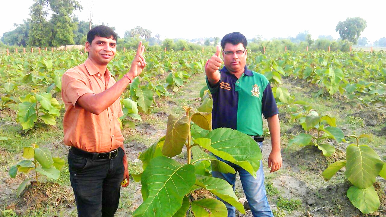 India plantation INDIA PLANTATION