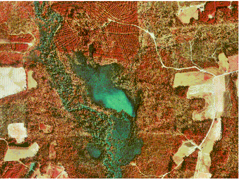 Corey's Maps