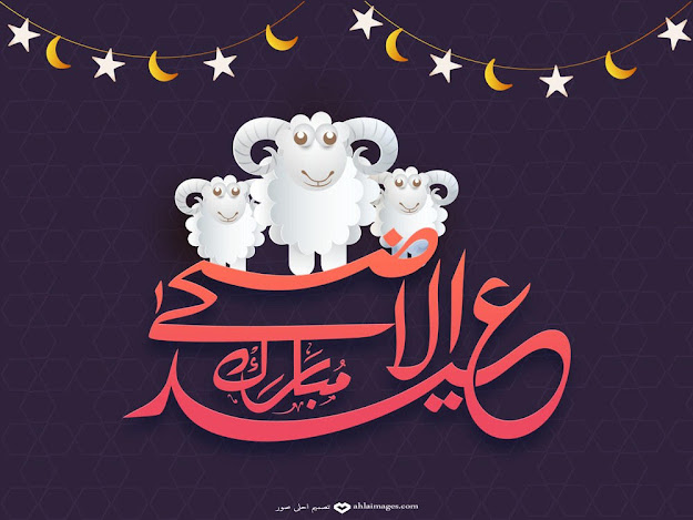 great-adha-eid-photos-9
