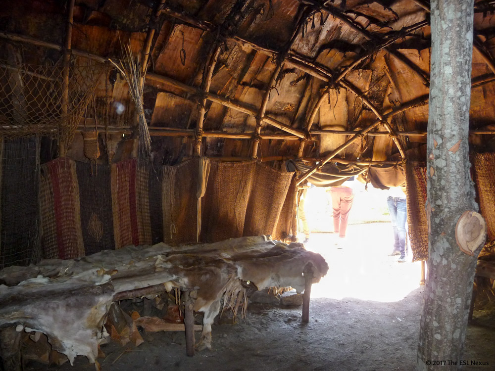 Compare and Contrast the Pilgrim and Wampanoag Cultures with these