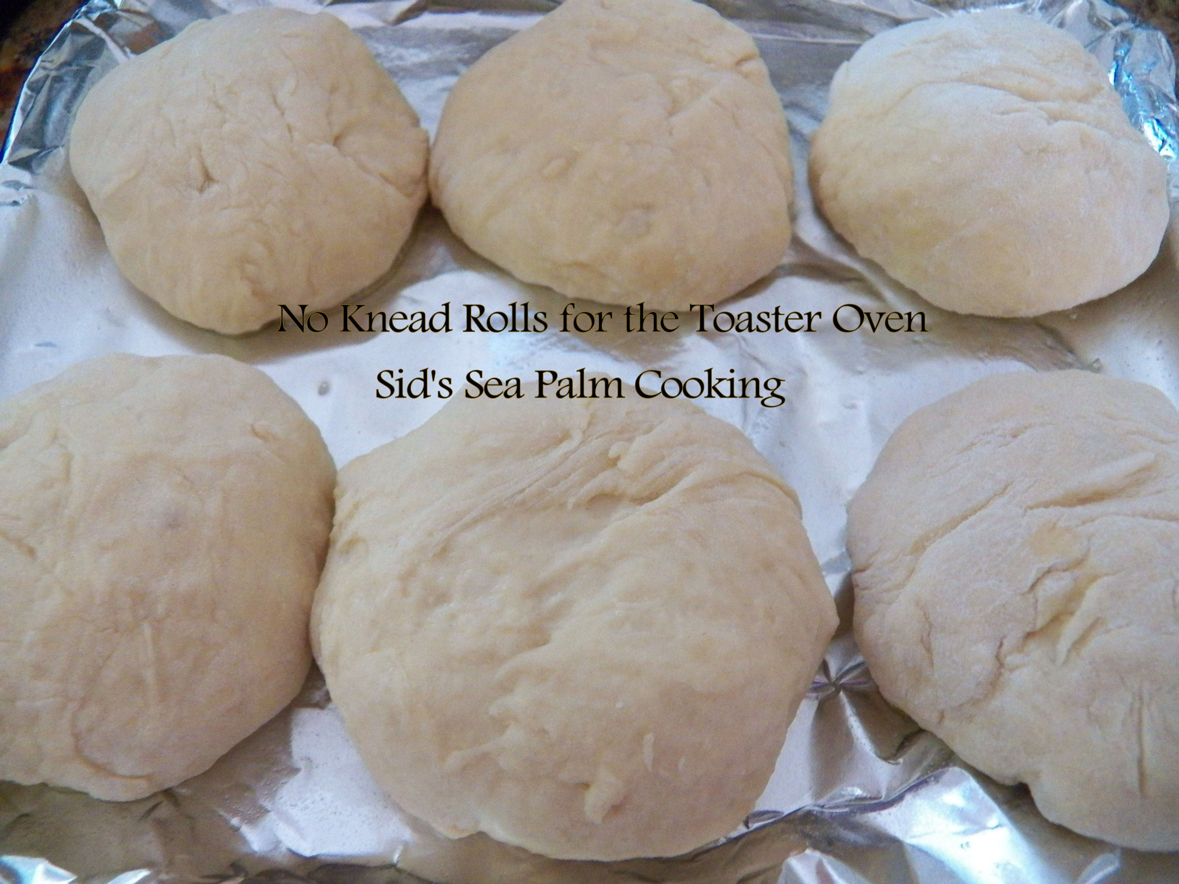 Toaster Oven No Knead Rolls Sid's Sea Palm Cooking