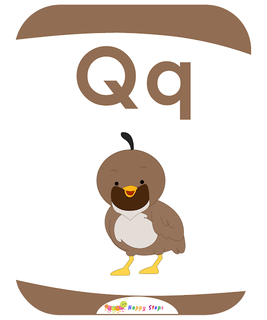 Letter -Q-  quail  Flashcards