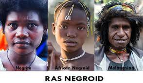 Ras Negroid Adalah Asal Muasal Ciri Dan Pengertian Triks12