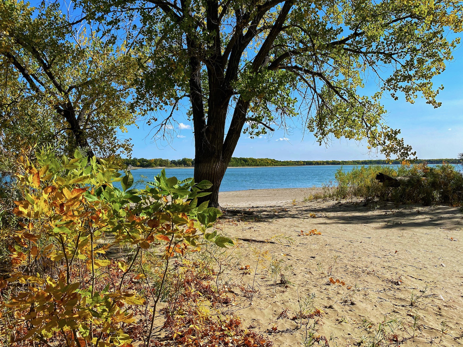 Lake Minatare Something Surprising