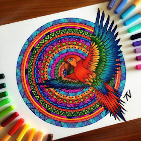 02-Parrot-Nigar-Tahmazova-Color-Plus-B&W-Animal-Ink-Drawings-www-designstack-co
