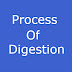 Process of digestion in human beings
