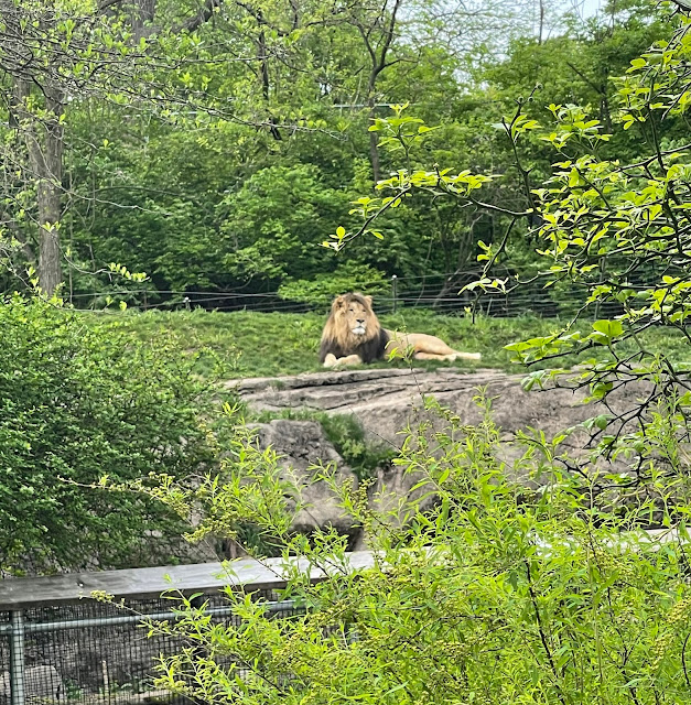 Pittsburgh Zoo