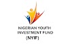 How to apply for the 2021 Nigeria Youth Investment Fund (NYIF)