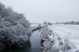 Naturfotografie Winterlandschaft Lippeaue Wildlifefotografie