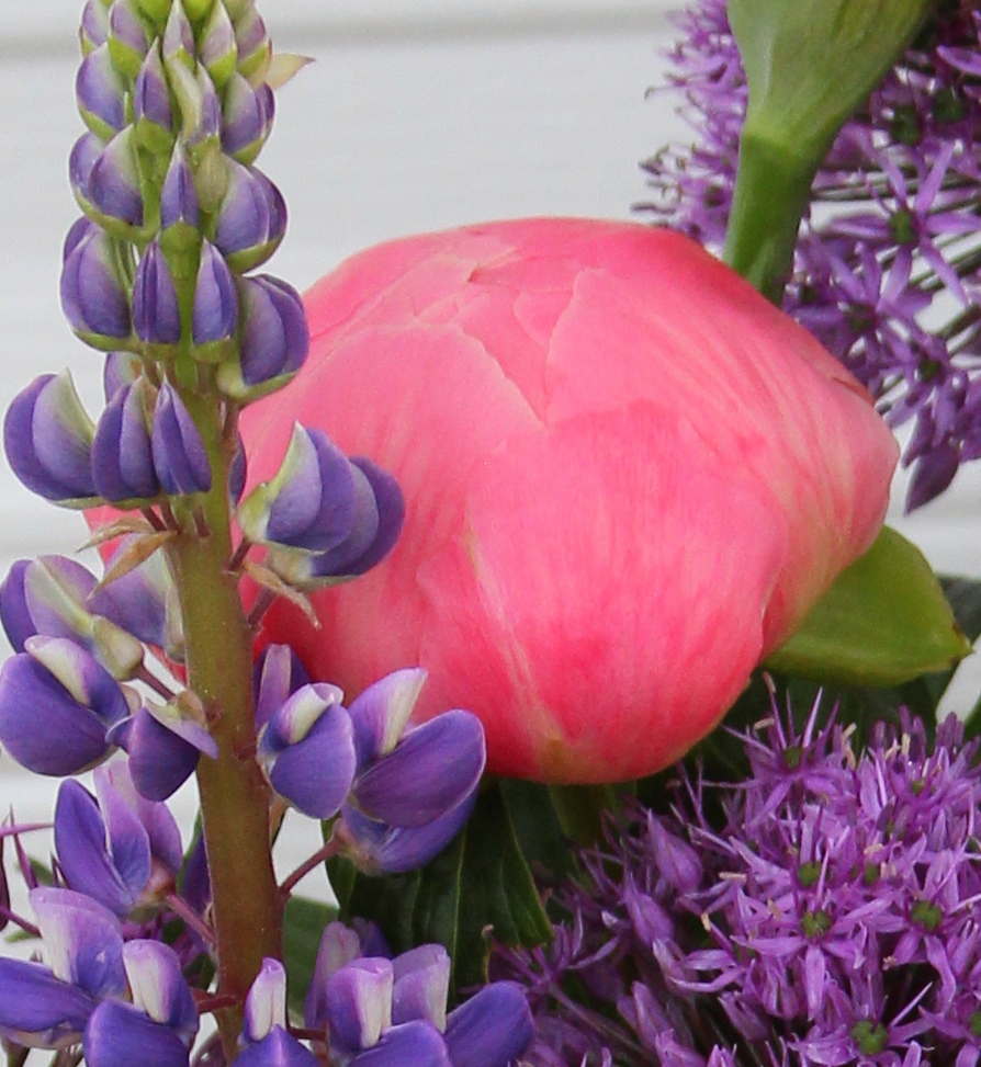 TALL BEARDED IRISES and ITOH PEONIES Neverending floral arrangement
