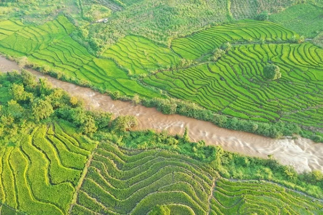 Chu Se terraced fields viewed from above