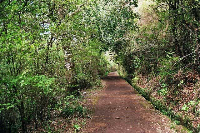 Levada in Madeira, Portugal.