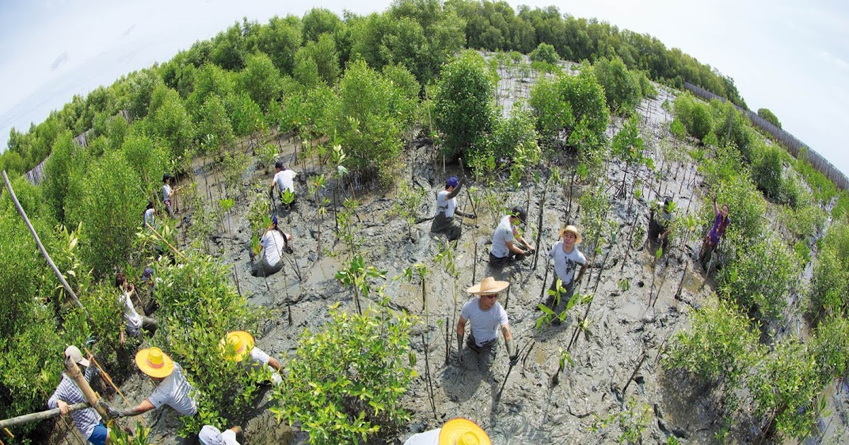 PELESTARIAN LINGKUNGAN ALAM DAN BUATAN