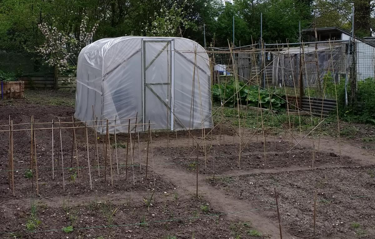 The Shed And Beyond Homemade polytunnel...