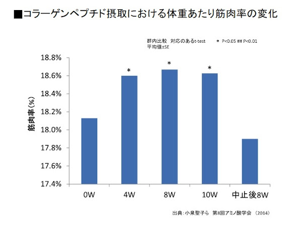 実験結果 実筋肉量の増加