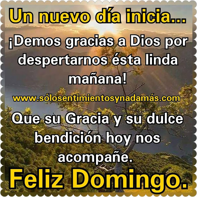 Feliz domingo.