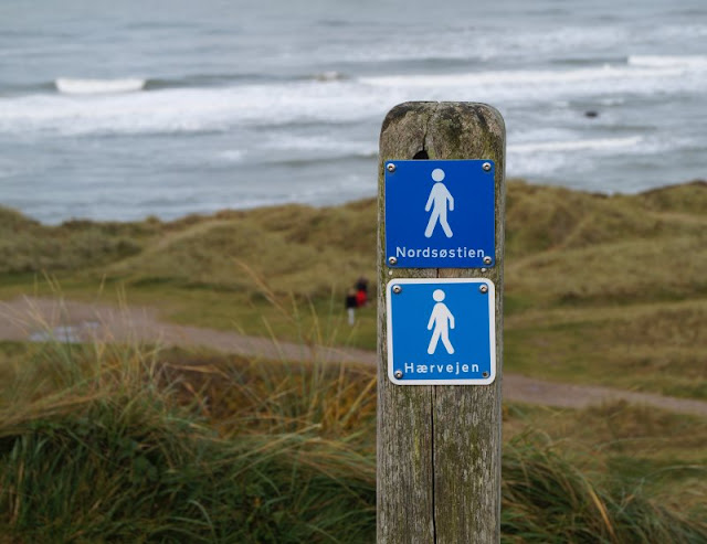 Hirtshals: 5 lohnenswerte Ausflugsziele. Die Natur rund um Hirtshals ist wunderschön, unsere Küstenkinder haben die Ausflüge an den Strand und in die Klitplantagen sehr genossen.