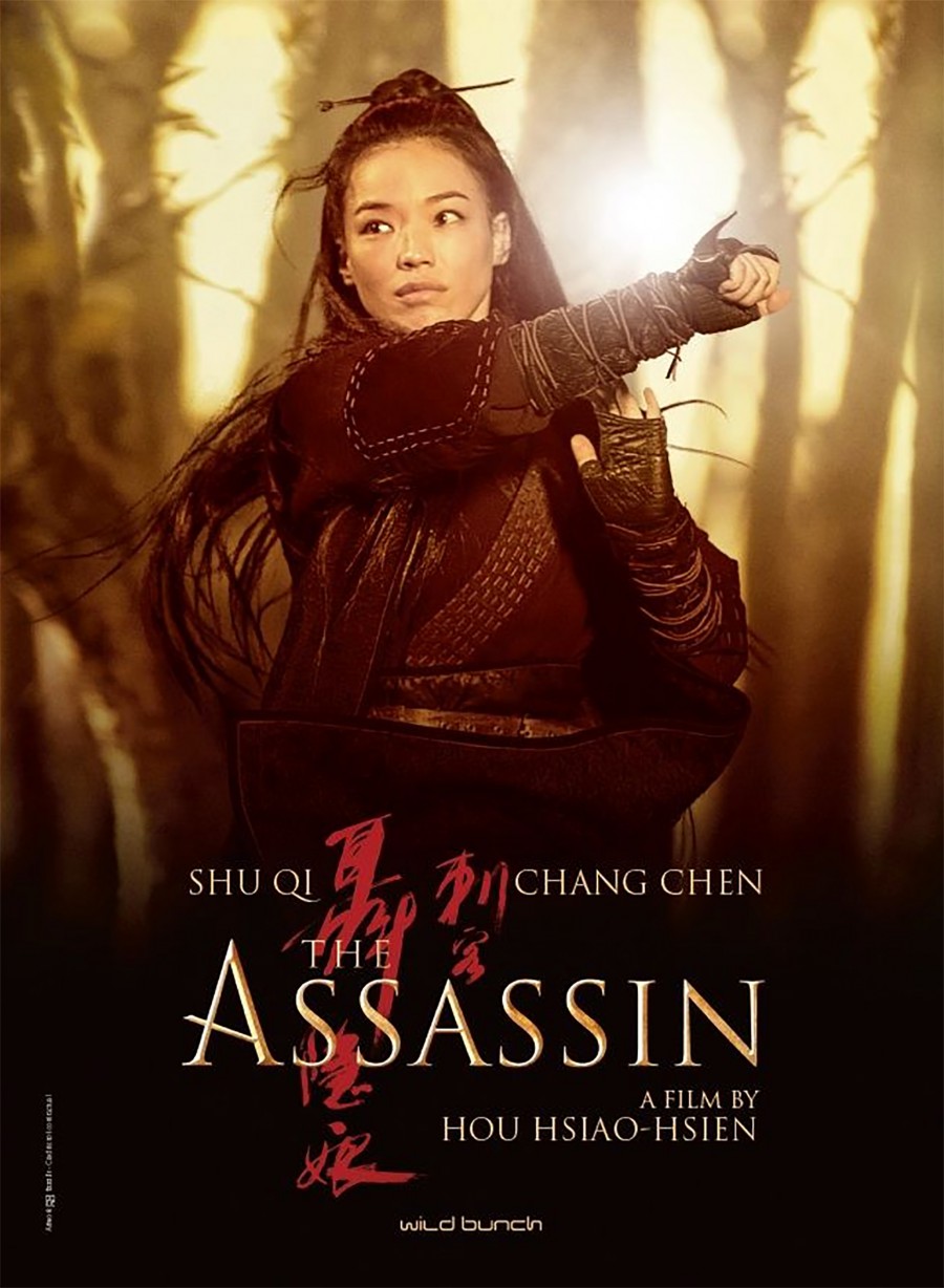 The Assassin 2015