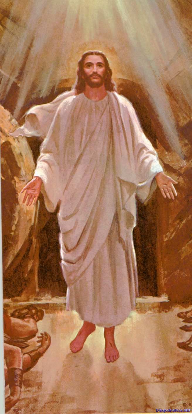 Formación Pastoral para Laicos ¿Cómo se