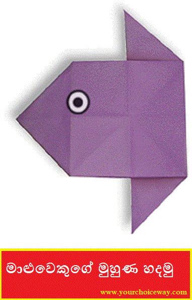 මාළුවෙකුගේ මුහුණ හදමු (Origami Head Fish) - Your Choice Way