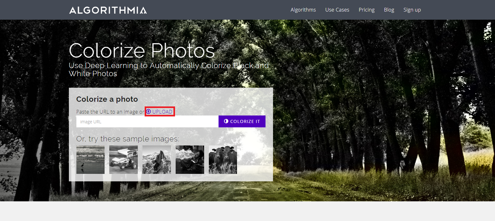 Algorithmia фото