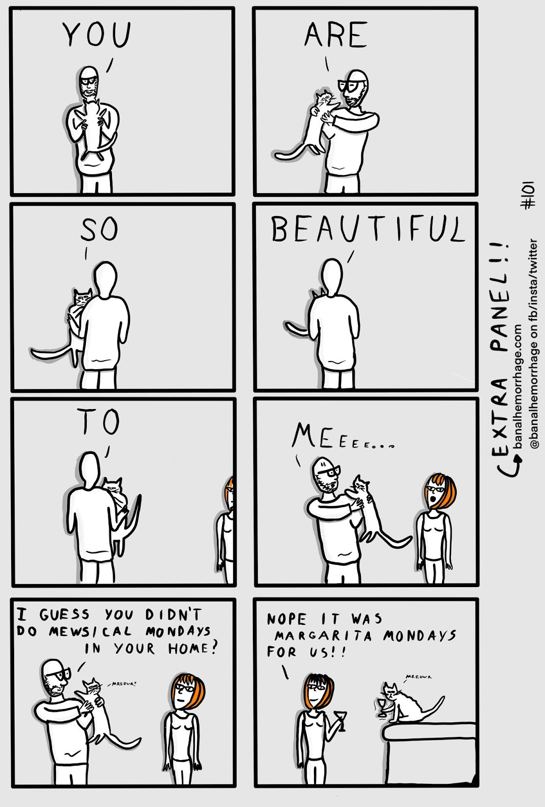 101 When Cat People Move In Together