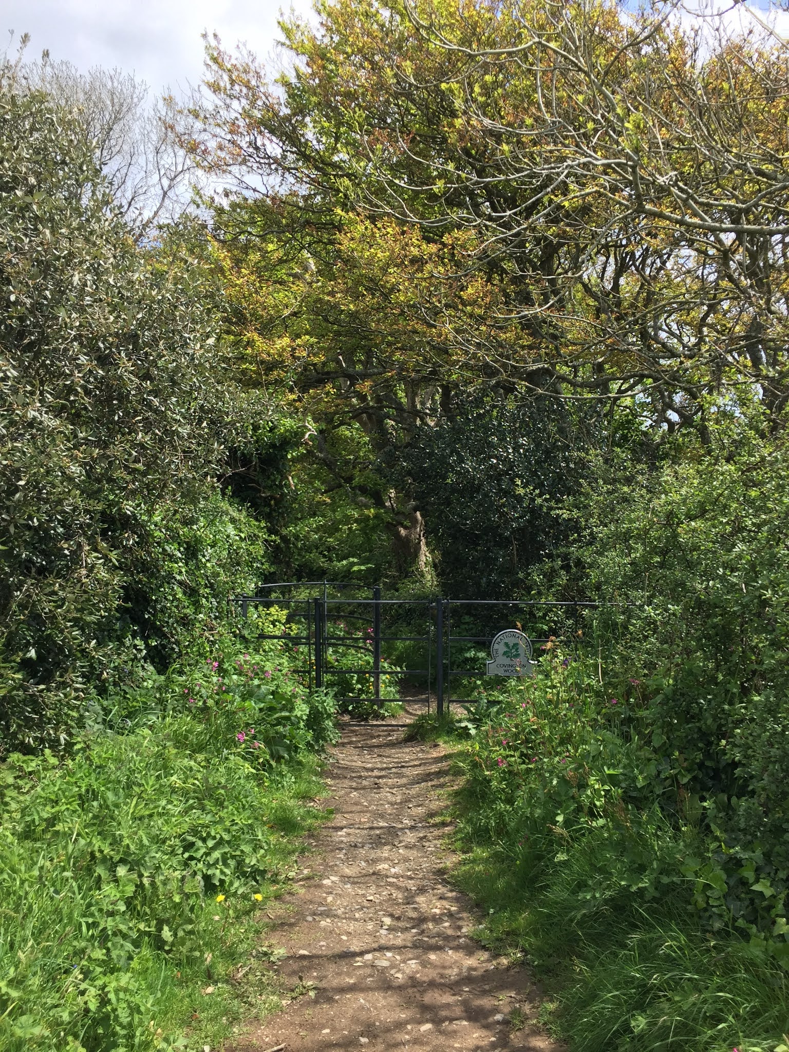 Walking and Pausing