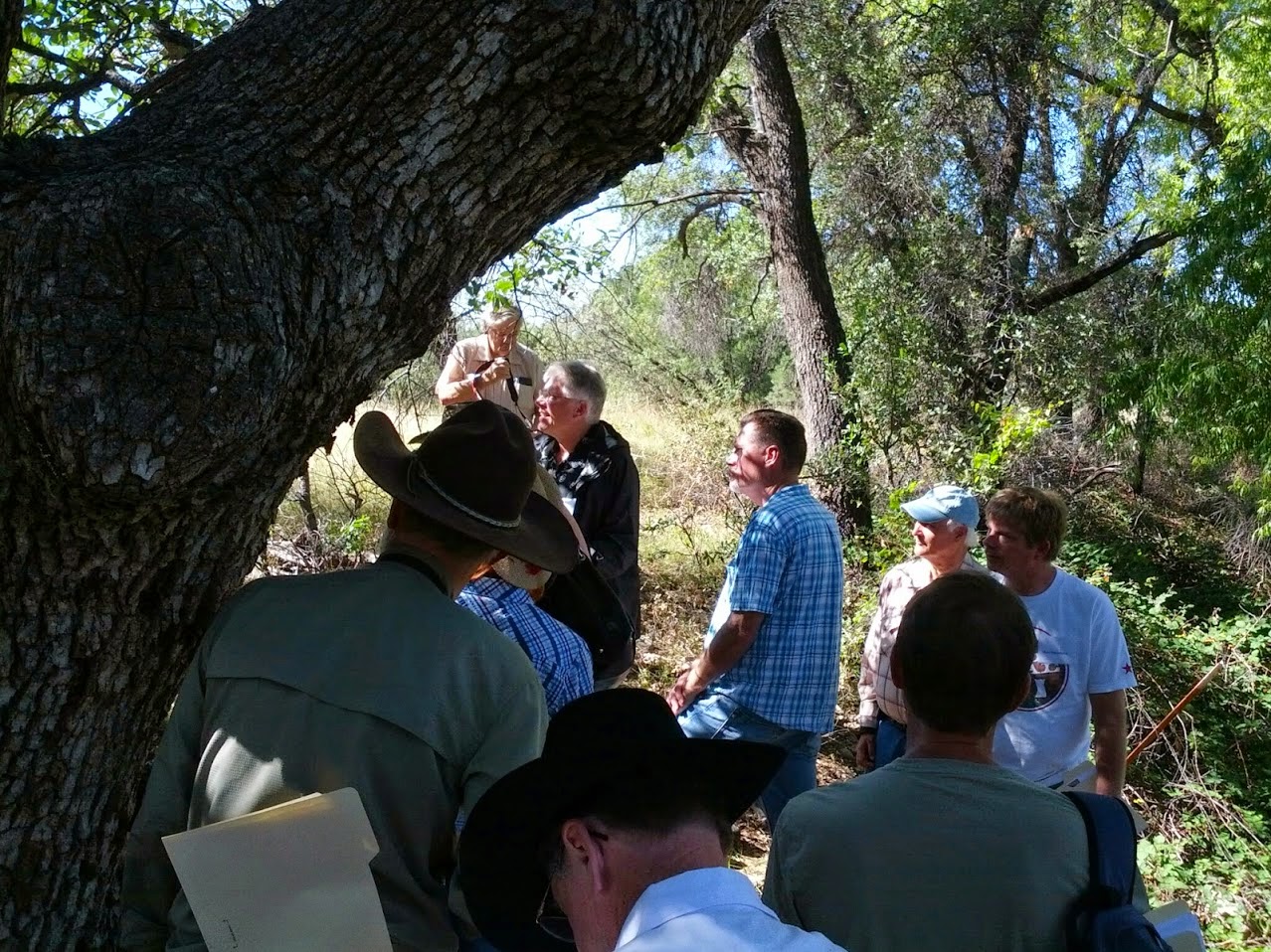 Ringo rag executive summary essay 05 image